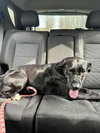 Windy: Not at shelter