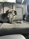 Windy: Not at shelter