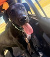 Windy: Not at shelter