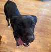 Windy: Not at shelter