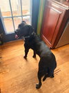 Windy: Not at shelter