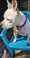 Stella: At shelter