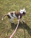 Stella: At shelter
