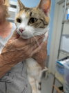 Chimei: Visit At Petsmart Lynchburg