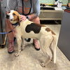 Uri: Not at shelter (Richard)