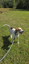 Uri: Not at shelter (Richard)