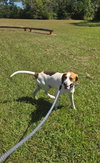 Uri: Not at shelter (Richard)