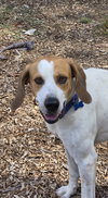 Uri: Not at shelter (Richard)