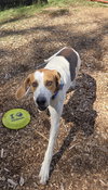Uri: Not at shelter (Richard)