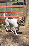 Uri: Not at shelter (Richard)