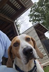 Uri: Not at shelter (Richard)