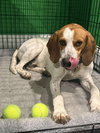 Uri: Not at shelter (Richard)