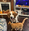 Uri: Not at shelter (Richard)
