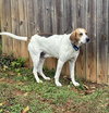 Uri: Not at shelter (Richard)