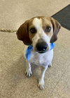 Uri: Not at shelter (Richard)