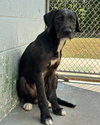 Norman: At shelter
