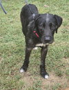 Norman: At shelter
