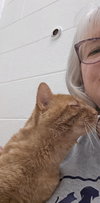 Dominos Pizza - Visit At Petsmart Lynchburg