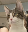 Ross: Visit At Petsmart Lynchburg