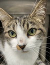 Mandy: Visit At Petsmart Lynchburg