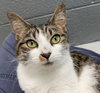 Mandy: Visit At Petsmart Lynchburg