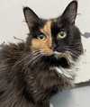 Devanna: Not at the shelter