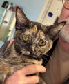 Jasmine: Visit At Petsmart Lynchburg