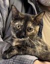 Jamie: Visit At Petsmart Lynchburg