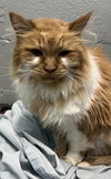 Willow: not at the shelter