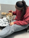 Willow: not at the shelter