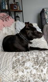 Bella: At shelter