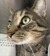 Rocket: At shelter