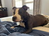 Theodore “Hef:” Not at the shelter (Joan)