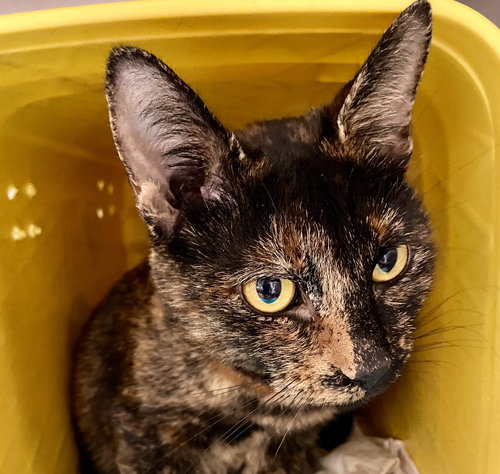 Brooke: At shelter