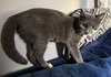 Beatrice:  Not At shelter-(Faith)