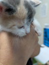 Lorna - Not At shelter- (Faith)