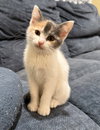 Lorna - Not At shelter- (Faith)