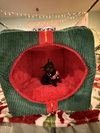 Wirt - Not At shelter- (Faith)