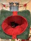 Truffle: Not at the Shelter (Faith)