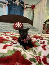 Truffle: Not at the Shelter (Faith)