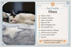 Oreo: Not at the Shelter (Faith) - Photo 21