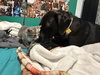 Nova: Not at the Shelter (Faith) Available 11/15