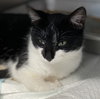 Mintlyn: Visit At Petsmart Lynchburg