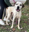 Phantom: at the shelter