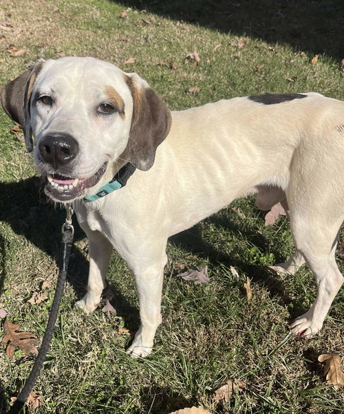 Phantom: at the shelter