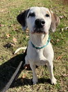 Phantom: at the shelter