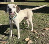 Phantom: at the shelter