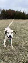 Phantom: Not at the Shelter (Pam)