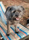 Harrison: Not at shelter (Kendra)