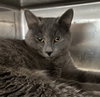 Gertrude: At shelter